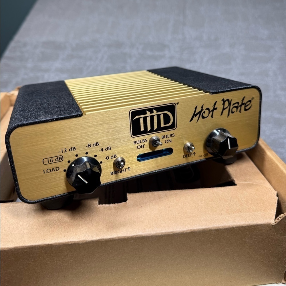 Guitar Amplifier THD Hot Plate Gold 2 ohms Handbuilt in the USA